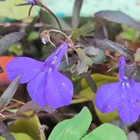 ,,, :: Сергей Тимоновский