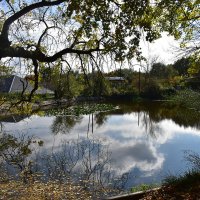 Осенний пруд :: Александр