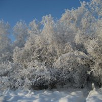 Солнечный день :: Anna Ivanova Солнечный день :: Anna Ivanova