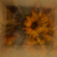 Вангог :: Юрий Полторыхин.