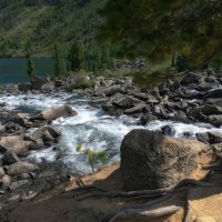 Шумы :: Марина Фомина.