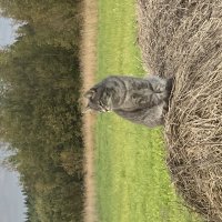 Наблюдательный пункт :: Ольга Савельева 