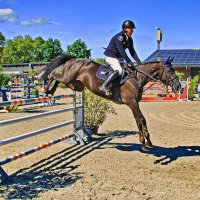 Конкур :: Андрей K.