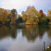 *** :: Witalij Löwin