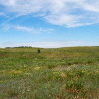 Степь. :: Виктор 