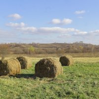 Сибирские просторы Кузбасса :: Нина северянка