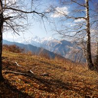 На привале. :: Алексей Большаков