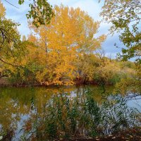 В ростовском экопарке Первая миля :: Нина Бутко В ростовском экопарке Первая миля :: Нина Бутко