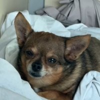 В поезде :: Венера Чуйкова