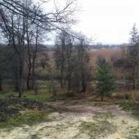 Осень... :: Игорь Шевердин