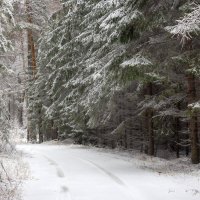 Предзимье :: Евгений Тарасов 