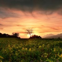 sunset :: Elena Wymann