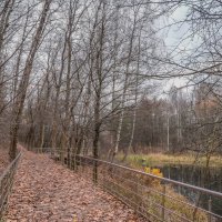 В осеннем парке... :: Владимир Жданов