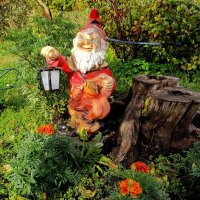 Гном Иваныч. :: Ирина ***