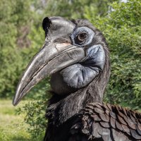 Рогатый ворон :: SanSan 