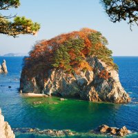 осенний ёжик :: ЕВГЕНИЯ БОРИСЕНКО