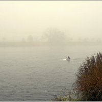 Туман не помеха :: Aleksandr Gal