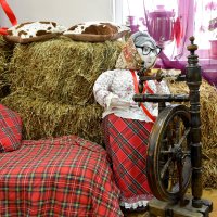 Московская область. Серпухов. Ферма «Русский страус». :: Наташа *****