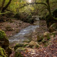 Адыгея.Водопады Руфагбо. :: ирина )))