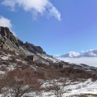 Природа Крыма :: Amazing Cosmea