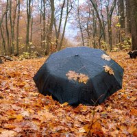 "В тот год осенняя погода стояла долго на дворе.." :: Андрей Заломленков