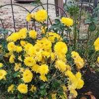 ,,, :: Сергей Тимоновский