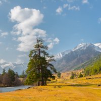 Долина реки Аксаут :: Аnatoly Gaponenko