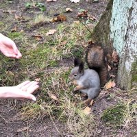 Закормили :: Наталья 