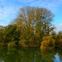 День ноября :: Юрий. Шмаков День ноября :: Юрий. Шмаков