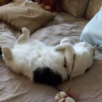 Вот так мы спим и обязательно с игрушкой :: Татьяна Р 