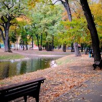 В парке :: Надежда 