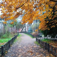 Осень в церковном саду. :: Светлана Калмыкова Калмыкова