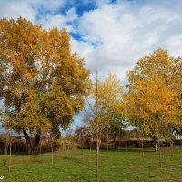 В ростовском экопарке Первая миля :: Нина Бутко В ростовском экопарке Первая миля :: Нина Бутко