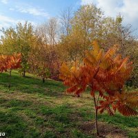 В ростовском экопарке Первая миля :: Нина Бутко