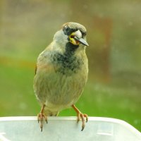 Во всей красе :) :: Юрий Куликов