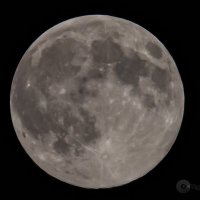 Суперлуние 5 ноября 2025 :: Игорь Волков Суперлуние 5 ноября 2025 :: Игорь Волков