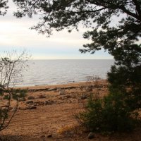 Репино :: Наталья Герасимова