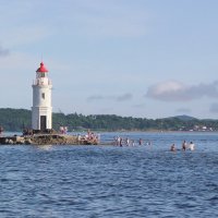 Токаревская кошка :: Владимир Соколов (svladmir)