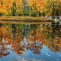 Про Питер :: Владимир Колесников