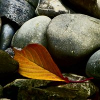 Осень 48 :: Алексей Кузнецов