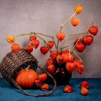 Физалис и тыква :: Людмила Павловна Крышковец