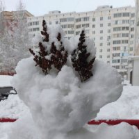 Первые снежные гости :: Татьяна Лютаева