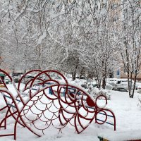 Вот и пришла к нам зима по-настоящему :: Татьяна Лютаева