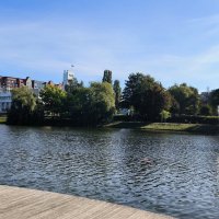 Калининград. :: Ольга 