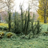 *** :: Валерий Пославский