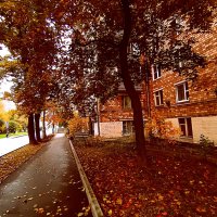 Осень :: Владимир Драгунский