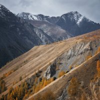 * :: Александр Иванов