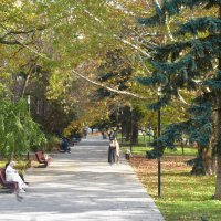 Отдых в парке :: Валентин Семчишин