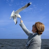 По пути следования :: Александр Силинский