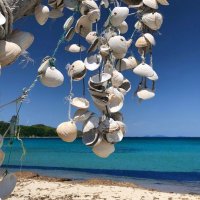 Интерьер моря :: Елена Семигина